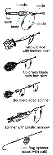 Spinner Baits